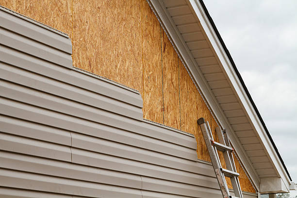 Best Siding Removal and Disposal  in Forest Heights, TX